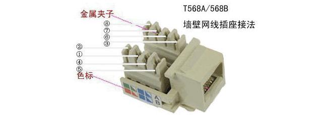 墙上网线插座的接法及使用注意事项（实用指南）
