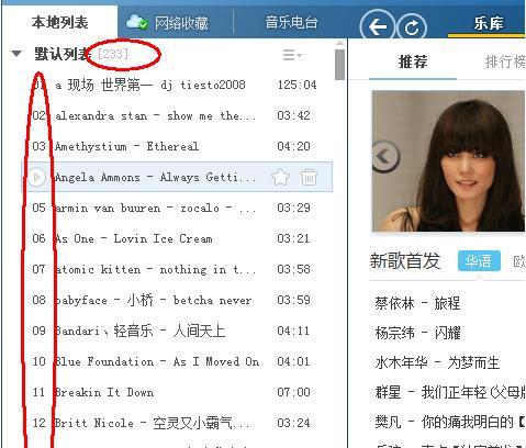 完美解码播放列表设置指南有哪些？轻松创建个性化音乐体验